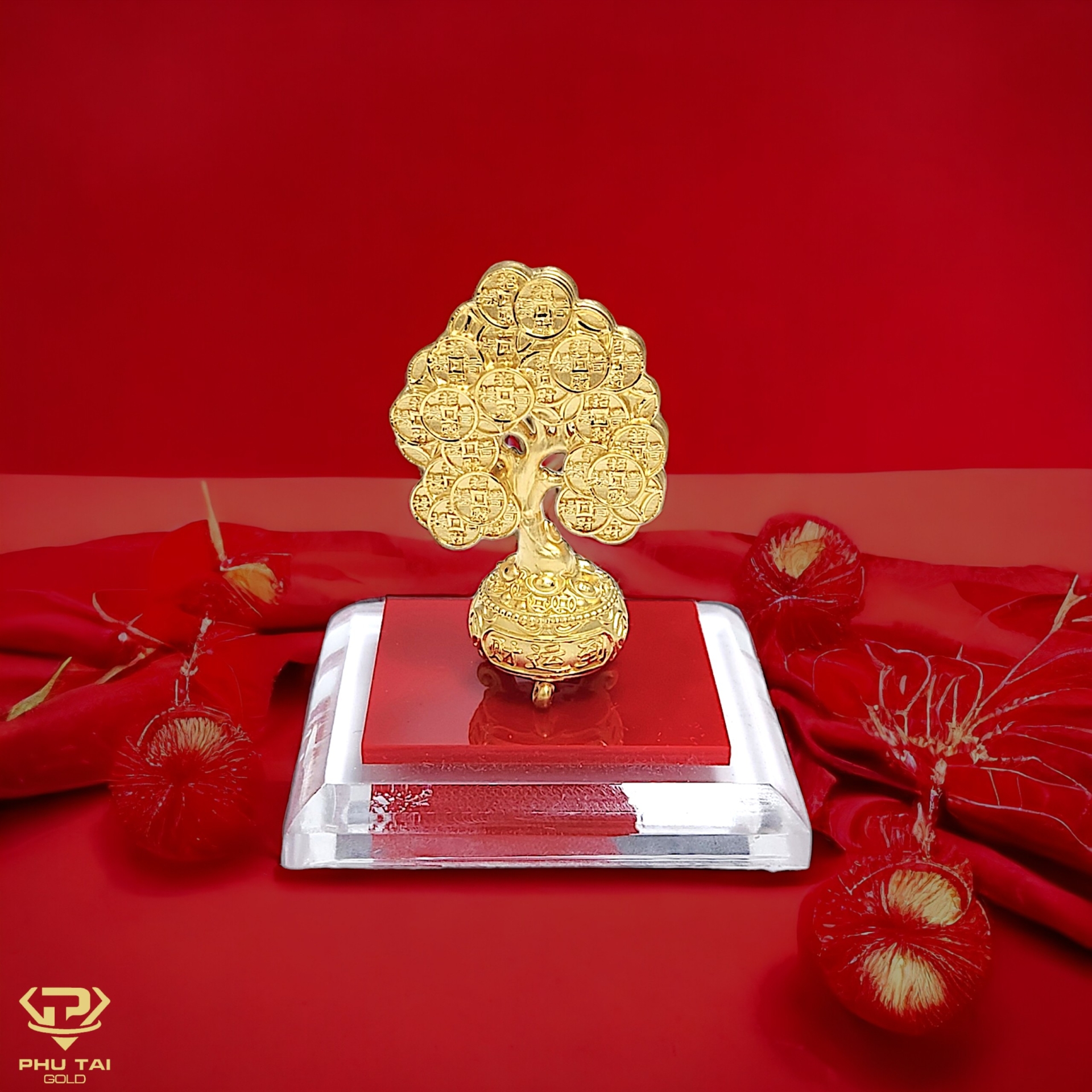 Cây kim tiền vàng ta (mã CKT 7902)